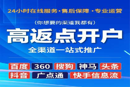 某某SEM服务公司成功案例：从数据出发的营销策略