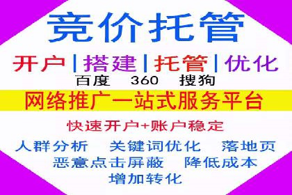 SEM托管代运营案例：打造高效营销体系